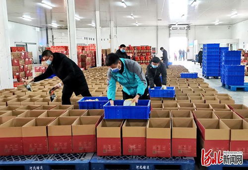 石家莊洛杉奇 惠民套餐從廠到家 全力保障食品供應