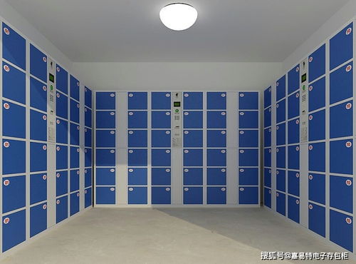 智能儲物柜的發(fā)展?fàn)顩r