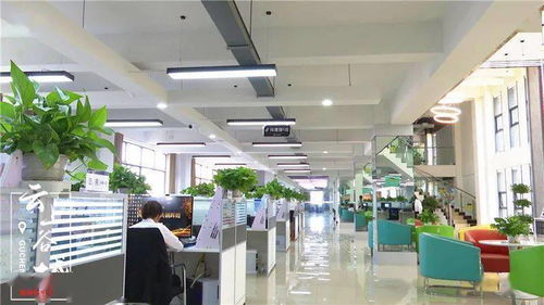 厲害 雙11 谷城電商銷售額近億元 農特產 爆賣 全國