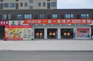 中國互聯網的未來在農村,農村電子商務的未來在供